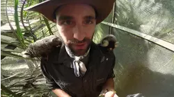 Baby Animals