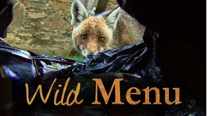Wild Menu