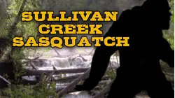 Sullivan Creek Sasquatch