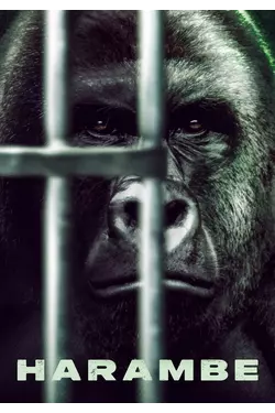Harambe