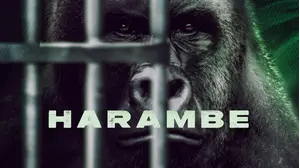 Harambe