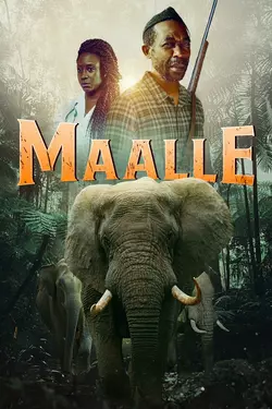 Maalle