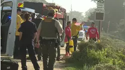 Dad dead, 5-year-old missing after wave pulls them into ocean