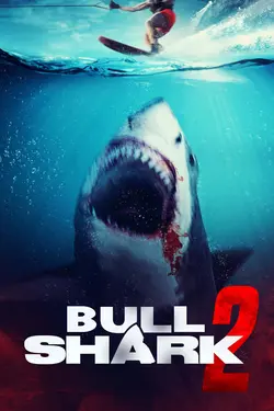 Bull Shark 2