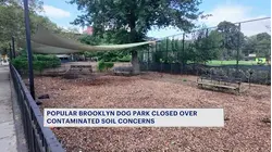 Dog run at Bed Stuy park closes temporarily due to possible soil contamination