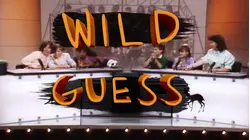 Wild Guess