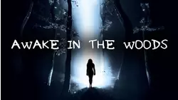 Awake In the Woods