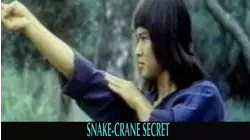 Snake - Crane Secret