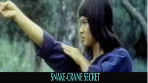 Snake - Crane Secret