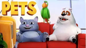 Pets