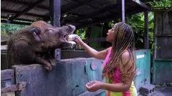 St. Croix, US Virgin Islands