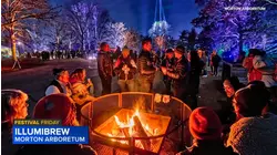 Festival Friday with Diane Pathieu