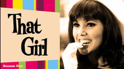 All About Ann