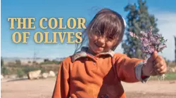 The Color of Olives