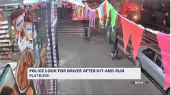 Driver on the run after hit-and-run in Flatbush