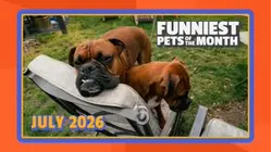 Funniest Pets of the Month | Ep. 3.7
