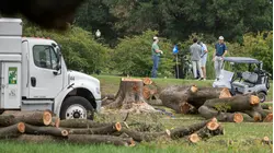 Judge orders Trump admin to not cut any more trees on historic DC golf course