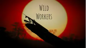 Wild Workers
