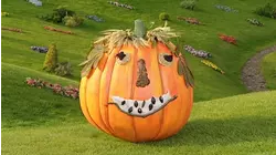 Pumpkin Face