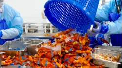Maine Traps $1 Billion Of Lobsters A Year. But Is That At Risk?