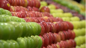 Episode 3: Nature's Candy