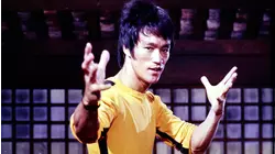 Top Fighter