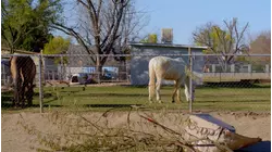 Triple Digit Flip: House Hack Vs. Hack Job -- Triple Digit Flip