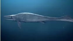 The Triassic