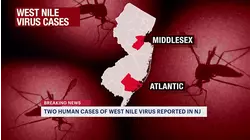 NJ health officials confirm first 2 human cases of West Nile virus this year