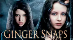 Ginger Snaps