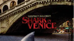 Shark in Venice