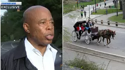 Mayor Eric Adams calls for ban on horse carriages in NYC
