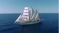 Peace, Plastic, and History