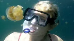 Palau