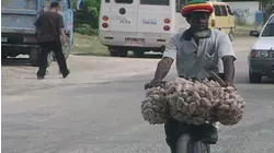 Jamaica
