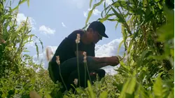 Six Nations, Ontario