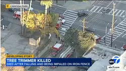 Tree trimmer fatally impaled by fence after fall in Canoga Park, LAFD says