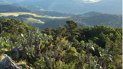 Mozambique - An African Dawn