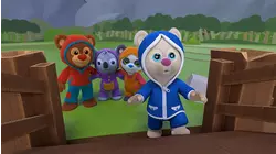 Book Hungry Bears