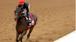2026 Kentucky Derby Winner Won't Race in Preakness Stakes