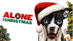 Alone for Christmas