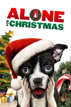 Alone for Christmas