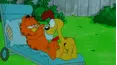 Garfield and Friends