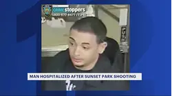 Man struck by stray bullet in Sunset Park; gunman on the run