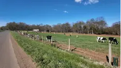 U.S farmers feel the pinch as the war in Iran drags on