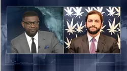 Cannabis industry reacts to executive order easing marijuana restrictions