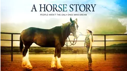 A Horse Story