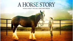 A Horse Story