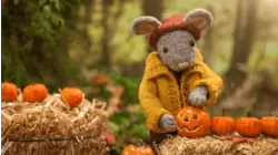 Autumn Is Awesome