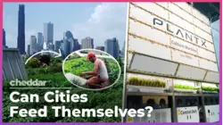Is The Future Of Farming In Cities? NYC Thinks So